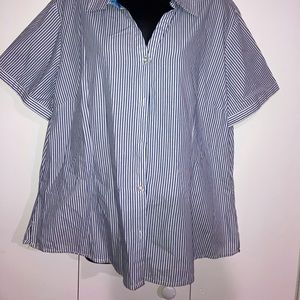 Basic Edition Button Up